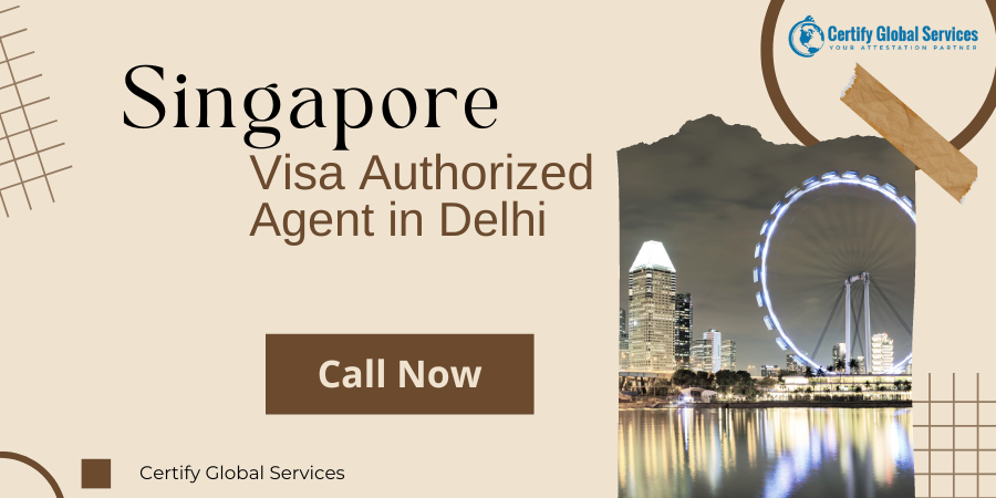 Visa Authorised Agents in Delhi